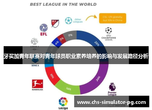 牙买加青年联赛对青年球员职业素养培养的影响与发展路径分析 牙买加青年联赛对青年球员职业素养培养的影响与发展路径分析
