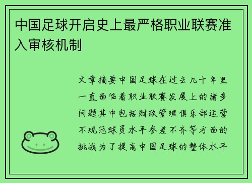中国足球开启史上最严格职业联赛准入审核机制 中国足球开启史上最严格职业联赛准入审核机制